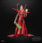 [Preventa] Mother Talzin - The Black Series 6
