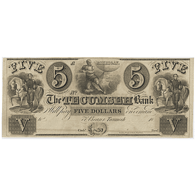 EUA - 1800´s 5 Dollars The Tecumseh Bank Obsolete Bank