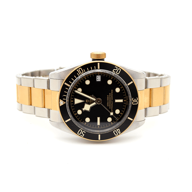 Tudor Black Bay S&G Ref. 79733N - Full Set 