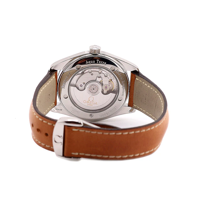 Omega Seamaster Aqua Terra – Ref. 2803.34.37 (2006)