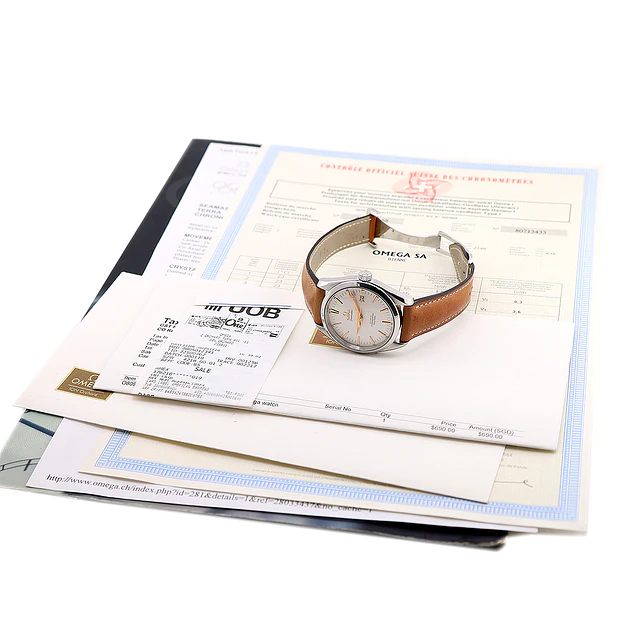 Omega Seamaster Aqua Terra – Ref. 2803.34.37 (2006)