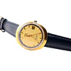Omega Seamaster Cosmic – Ref. 136.022