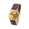 Omega Seamaster 600 – Ref. 135.011