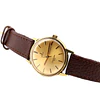 Omega Seamaster 600 – Ref. 135.011
