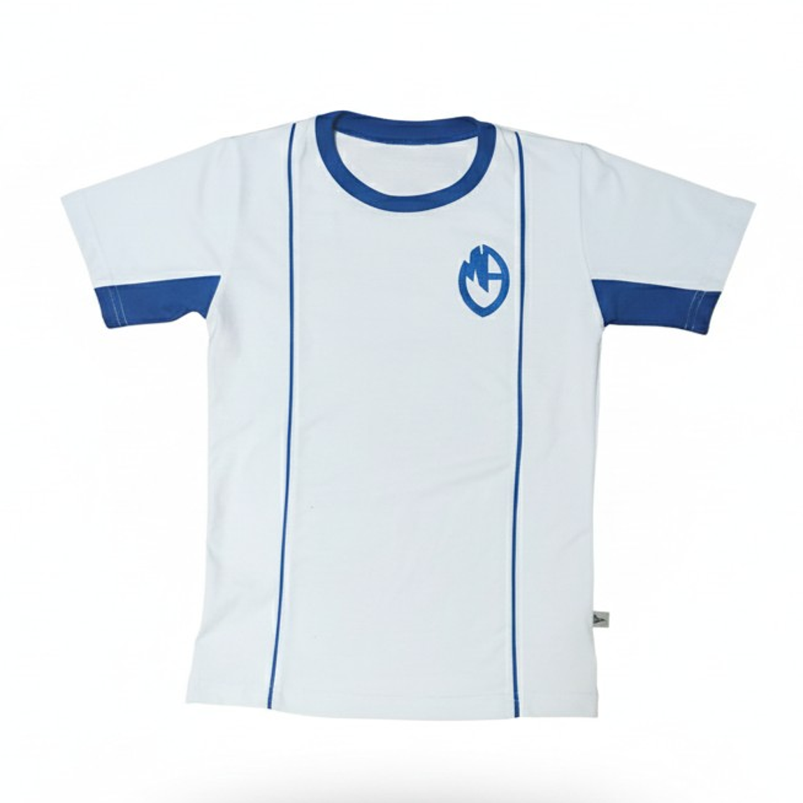 Polera Maria Auxiliadora 1