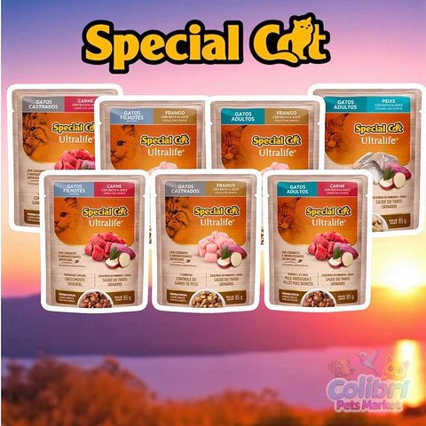Display sachet Special Cat 12 unidades