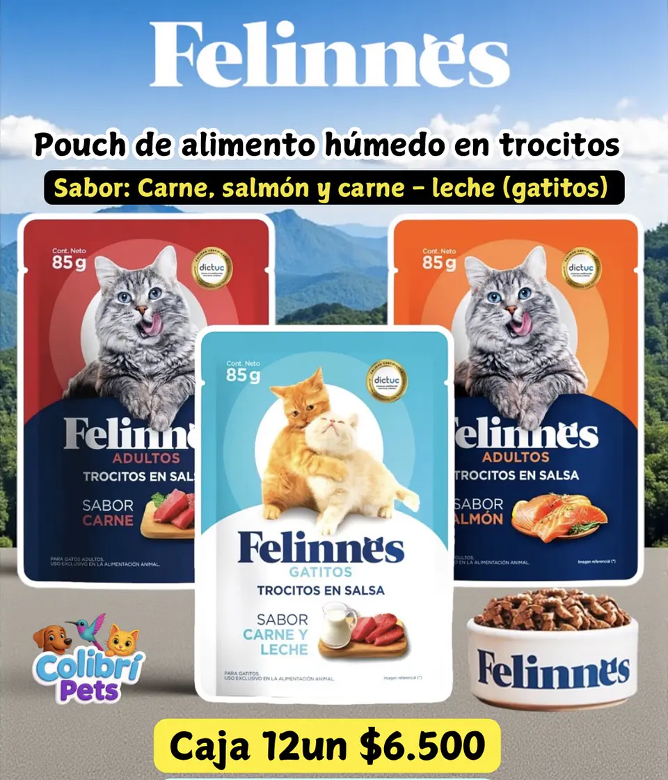 Display Felinnes 1