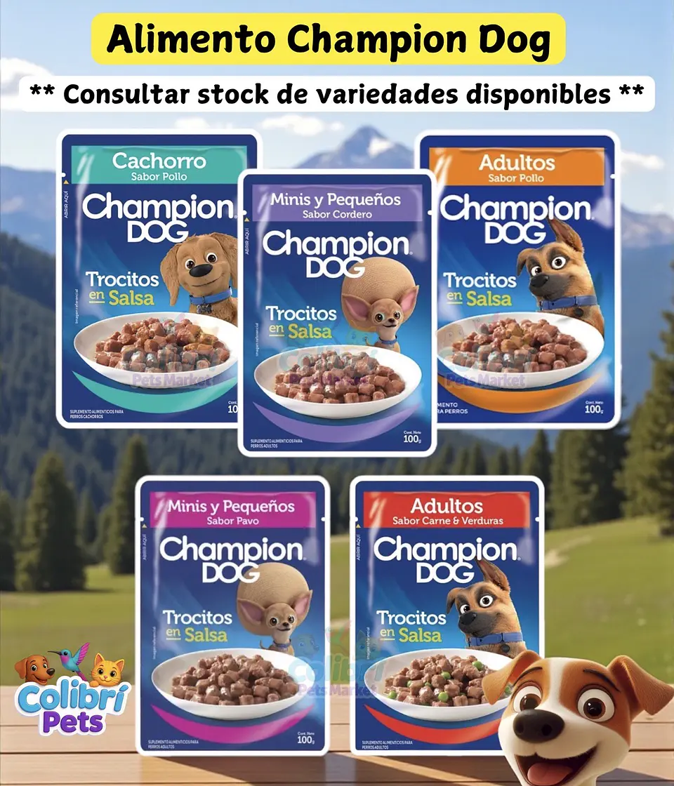 Display Champion Dog 24un 1
