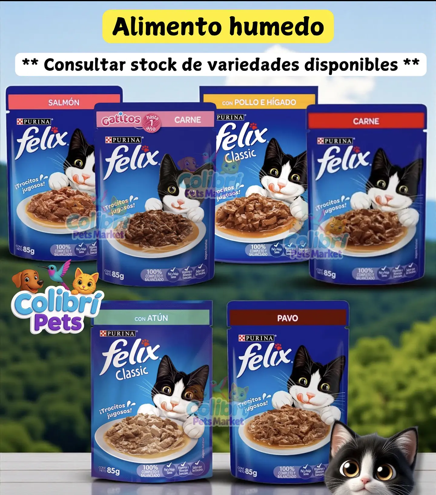 Display Felix 24un 1