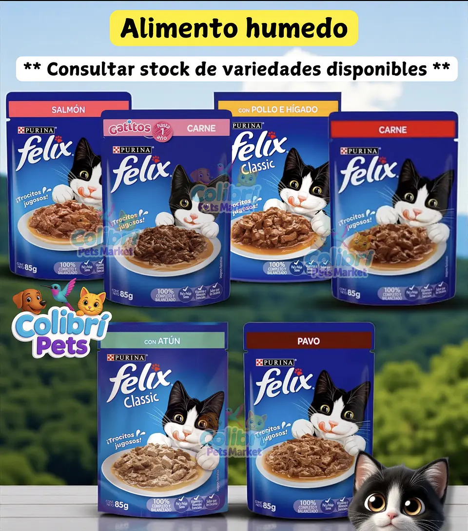 Display Felix 24un 1