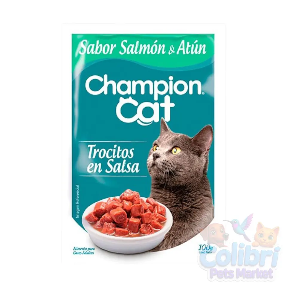 Display Champion Cat 24un 8