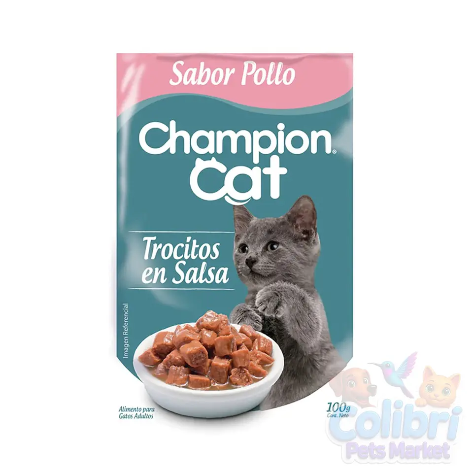 Display Champion Cat 24un 5