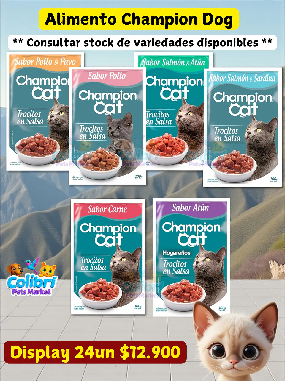 Display Champion Cat 24un 1