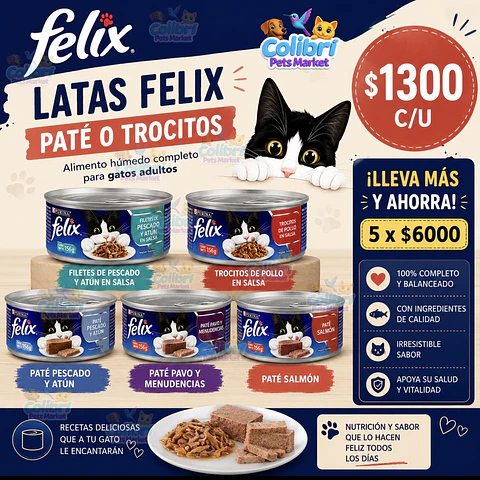 Lata Felix 