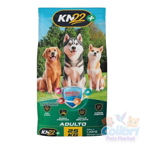 KN 22 adulto