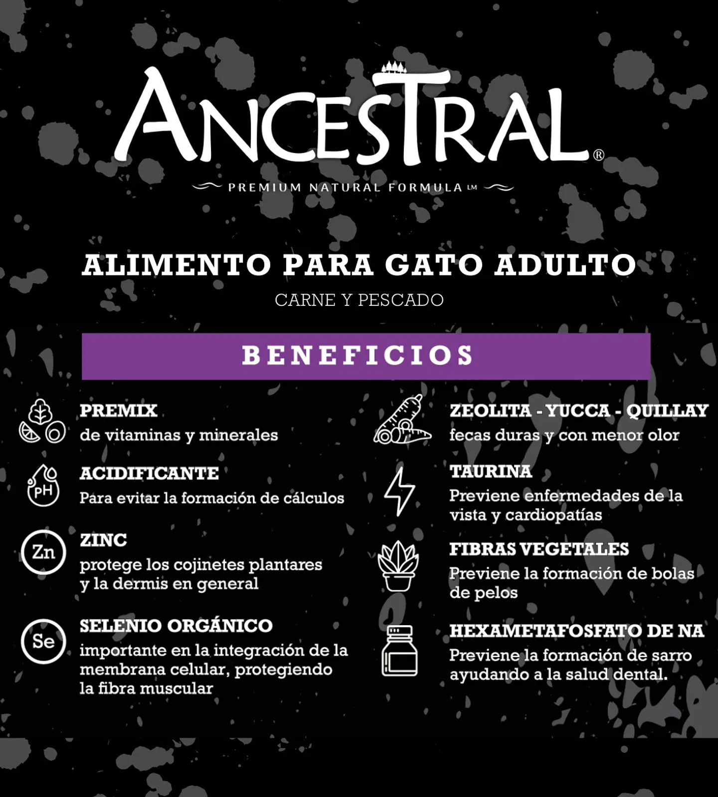 Ancestral gato 10kg 2