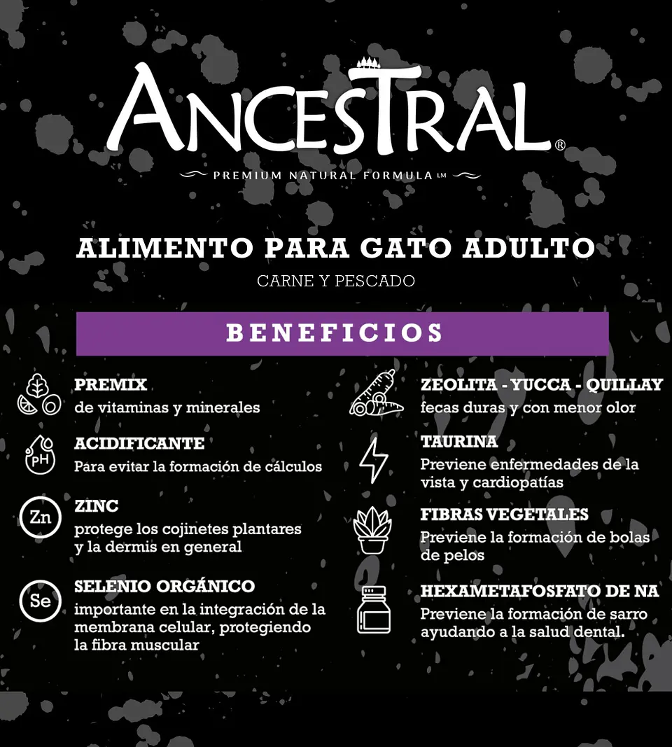 Ancestral gato 10kg 2