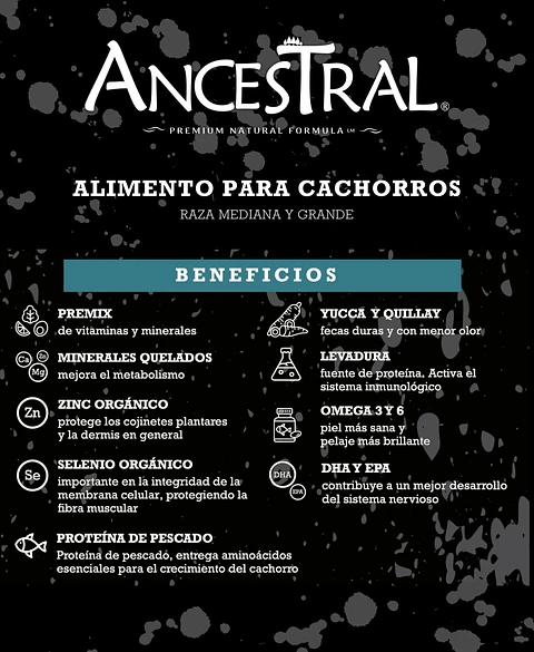 Ancestral cachorro 10kg