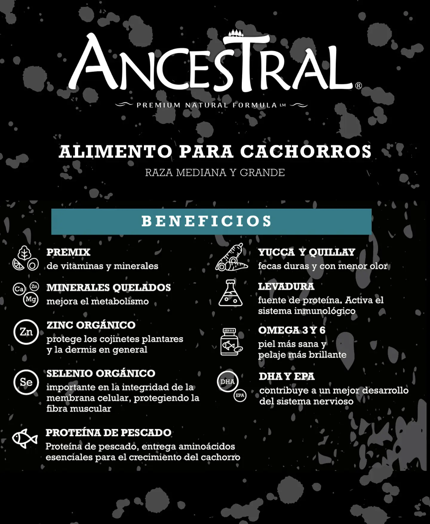 Ancestral cachorro 10kg 2