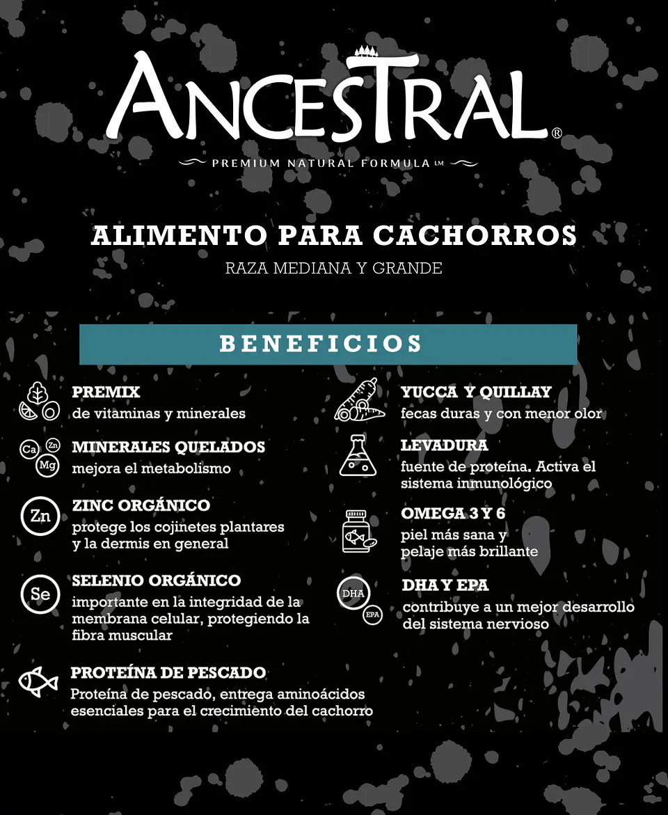Ancestral cachorro 10kg 2