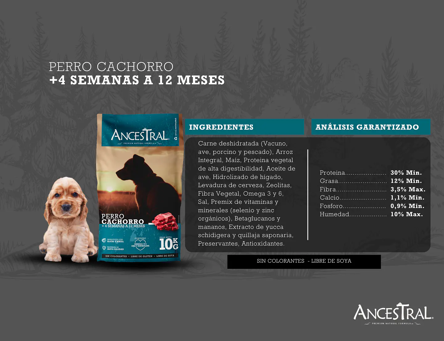 Ancestral cachorro 10kg 3
