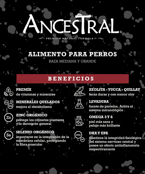 Ancestral adulto 20kg