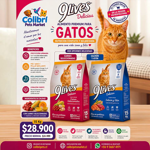 9lives adulto 15kg