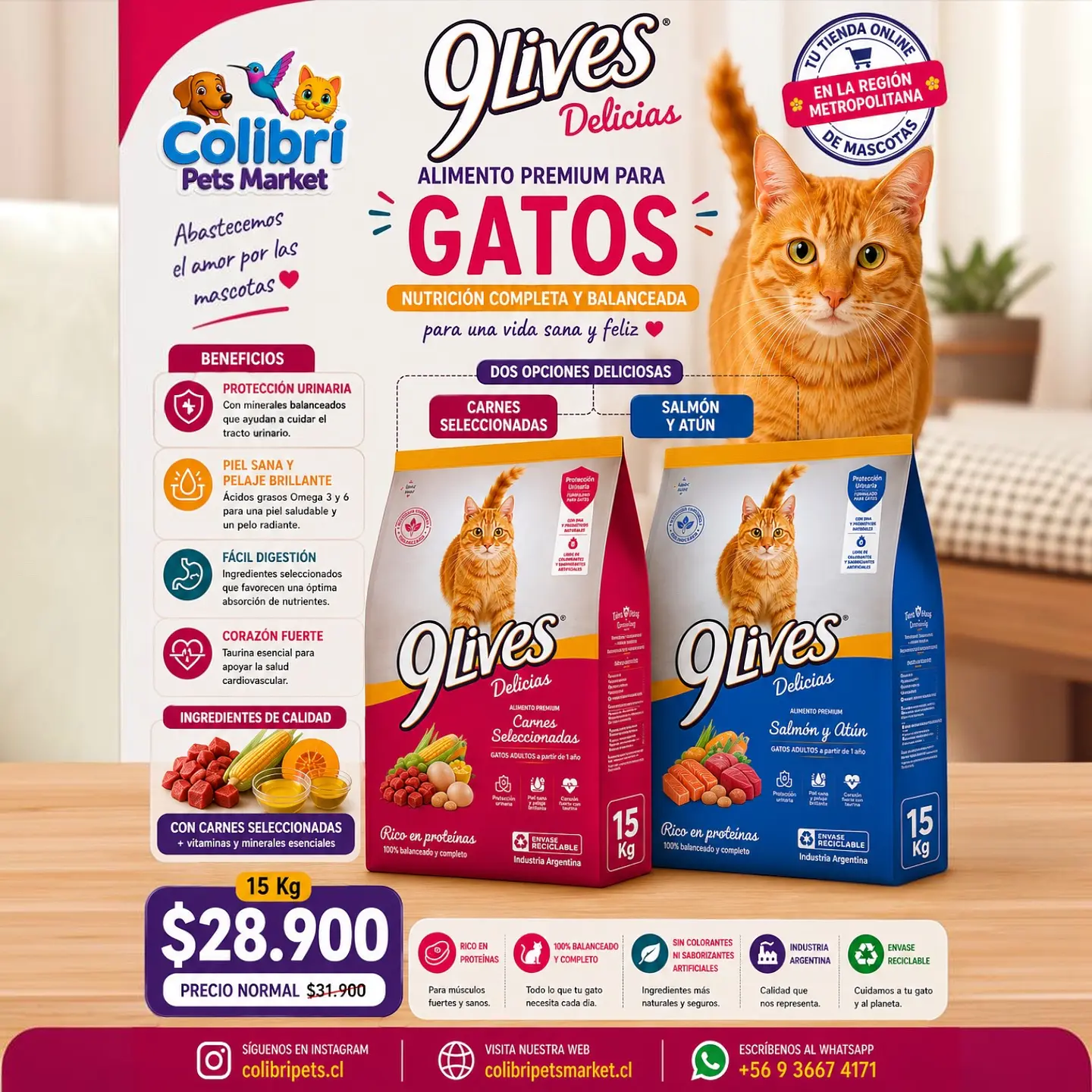 9lives adulto 15kg 1