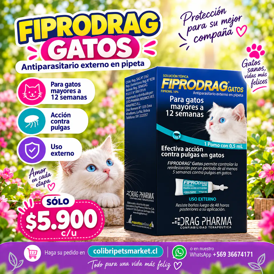 Fiprodrag gatos  1