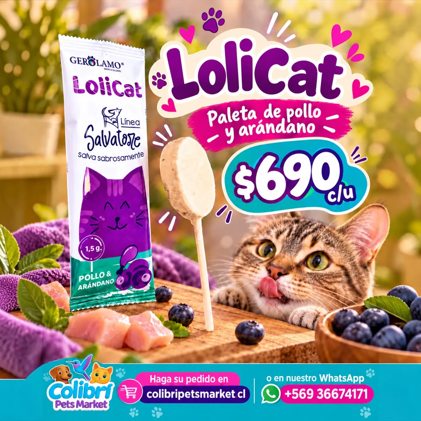 LoliCat Gerolamo - paleta de pollo y arándano  1