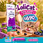 LoliCat Gerolamo - paleta de pollo y arándano  - Miniatura 1