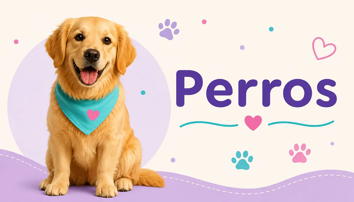 Colibri Pets Market
