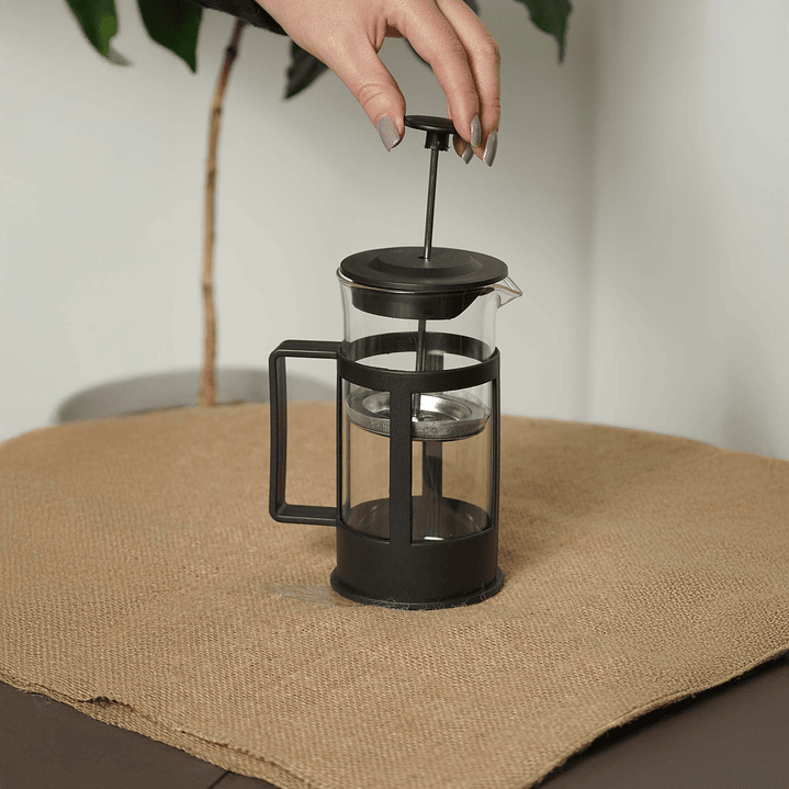 Prensa francesa ECO 2