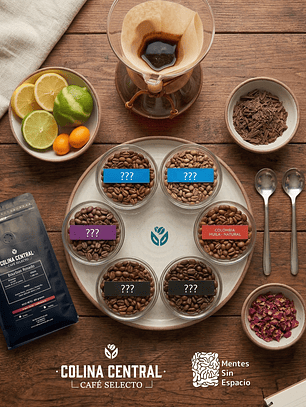 Despierta tus sentidos y redescubre tu taza de café.