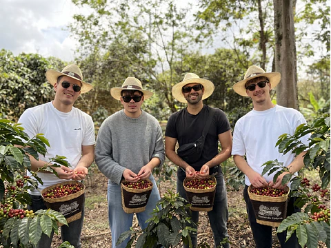 Bogotá Coffee Tour: From Seed to Cup, an Authentic Colombian Coffee Experience