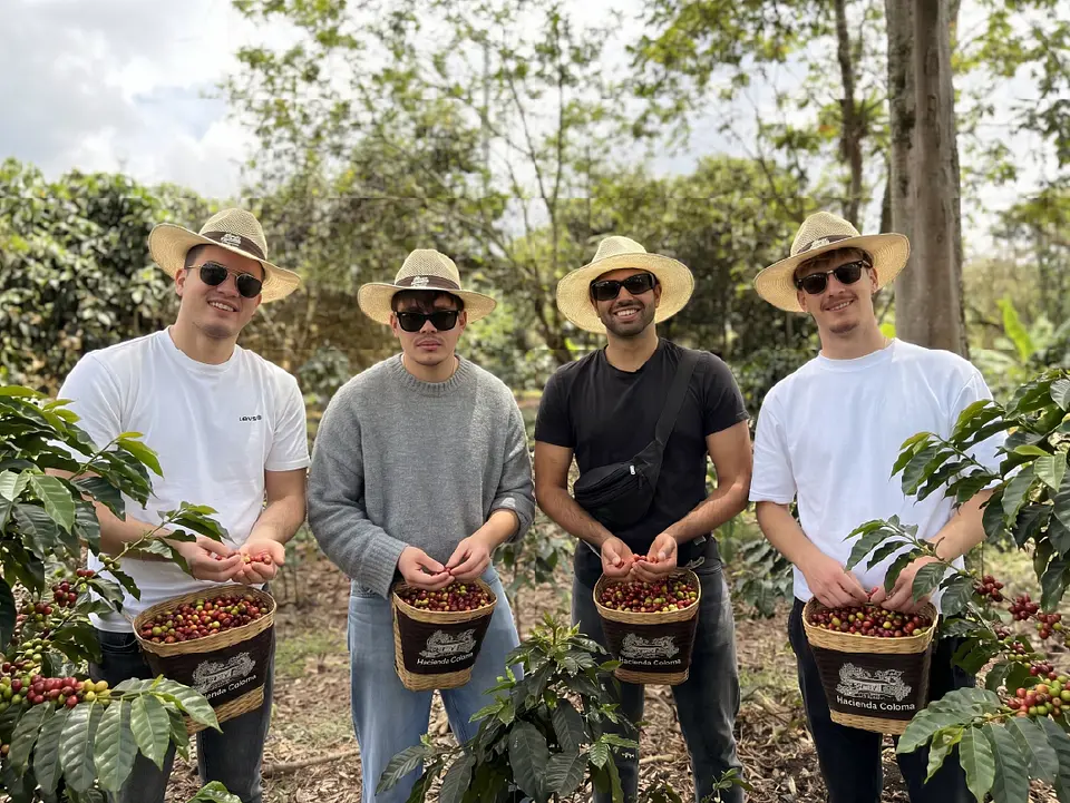 Bogotá Coffee Tour: From Seed to Cup, an Authentic Colombian Coffee Experience 1