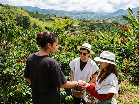 Salento Coffee Tour: Farm Experience & Coffee Tasting