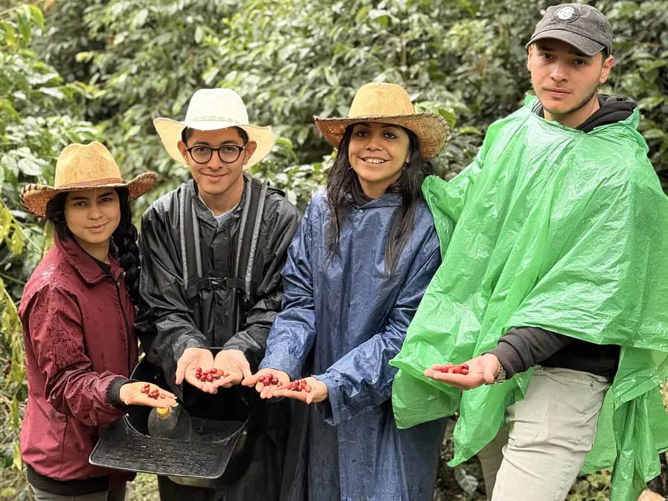 Bogotá Coffee Tour: From Seed to Cup, an Authentic Colombian Coffee Experience 4