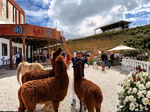 Medellín Tour: Guatapé & El Peñol Rock
