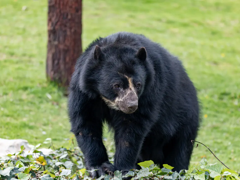 Bogotá to Parque Jaime Duque – A Full Day of Culture, Nature & Unforgettable Family Fun 5