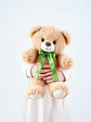 Demo - Teddy - Miniatura 3