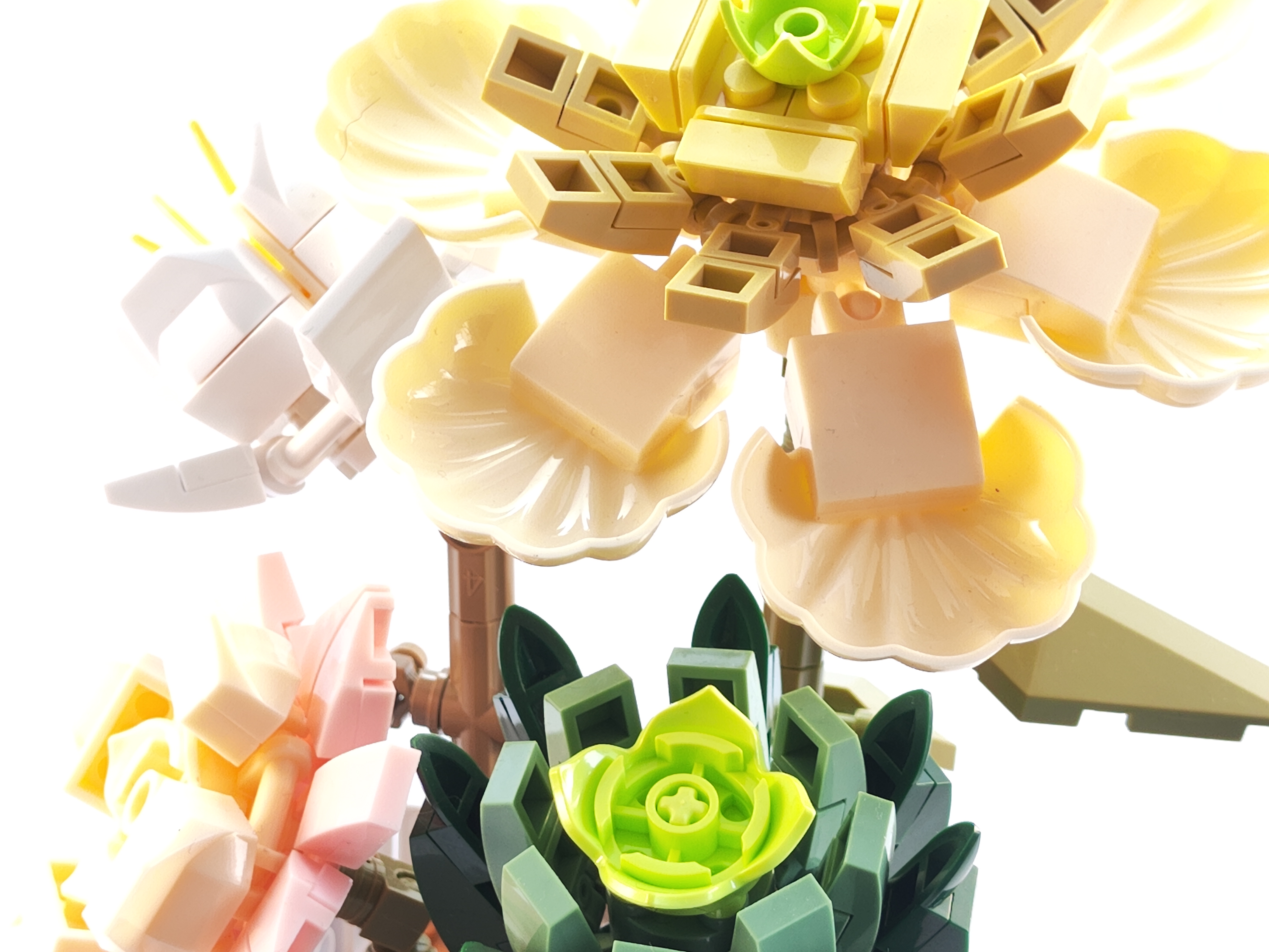 Summer Floral Fragrance - ZB Flores 2