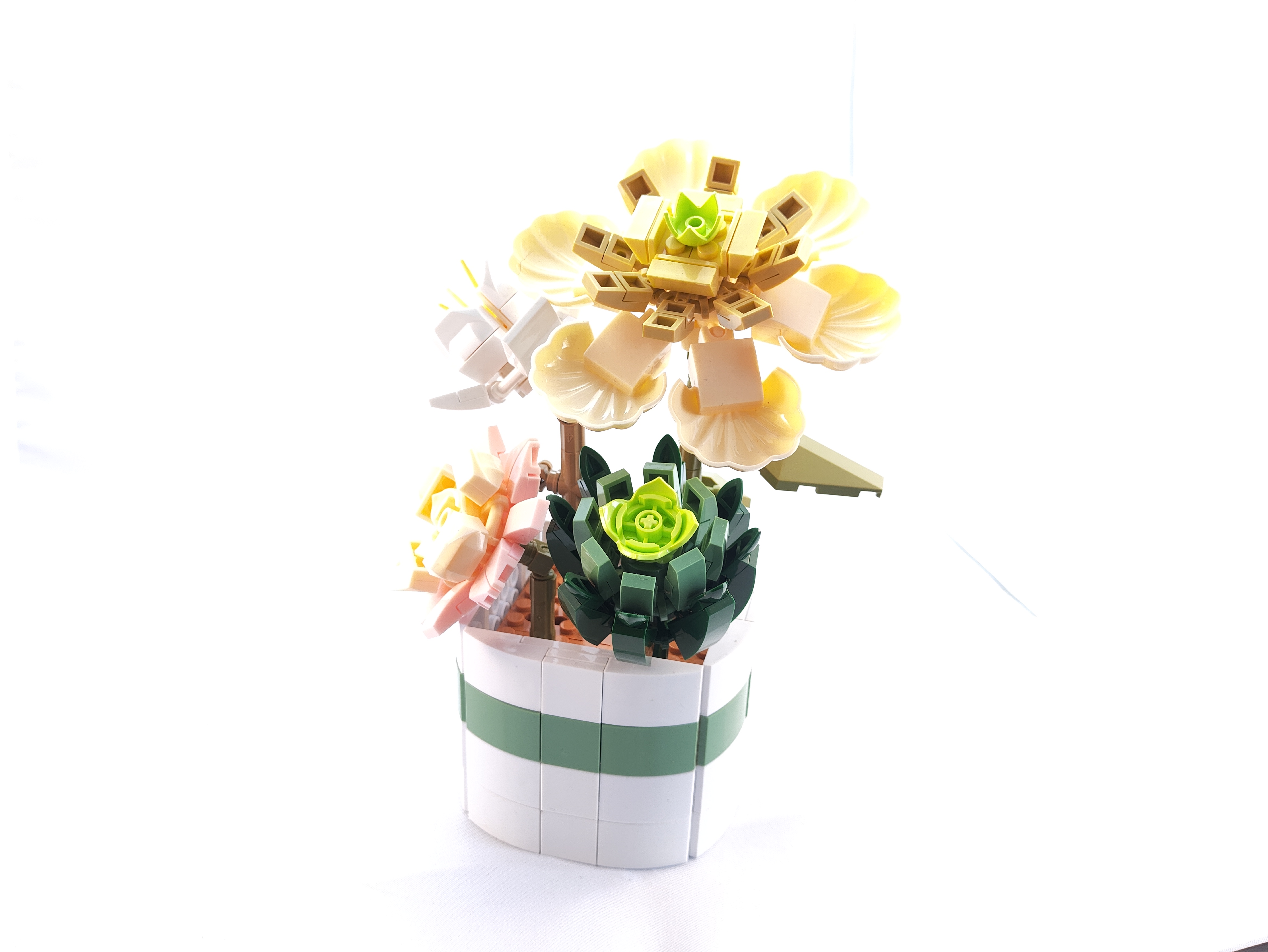 Summer Floral Fragrance - ZB Flores 3