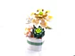 Summer Floral Fragrance - ZB Flores - Miniatura 3