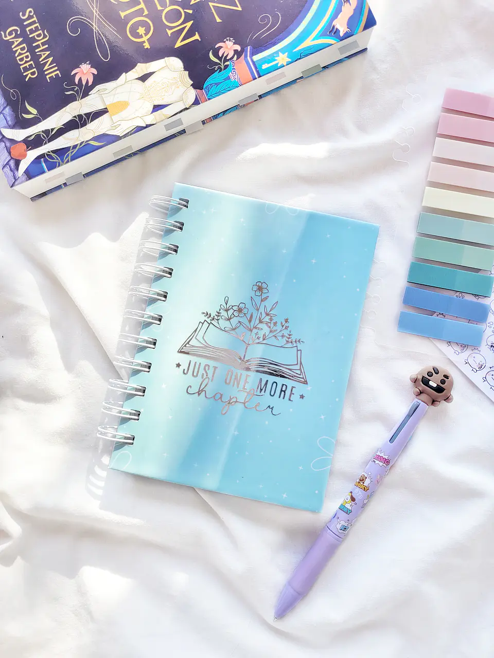 Mini Álbum de Lecturas Turquesa 1