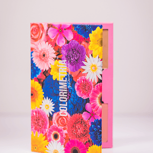 Paleta Maquillaje Glow in Cold