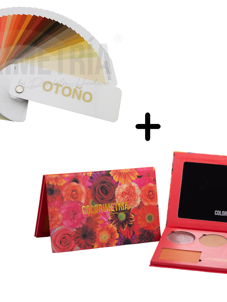 Paleta de Colores + Paleta de Maquillaje LP 2