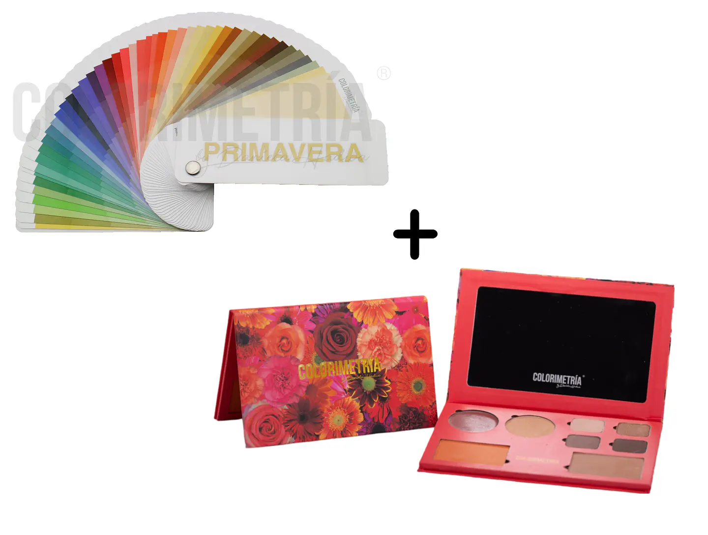 Paleta de Colores + Paleta de Maquillaje LP 3