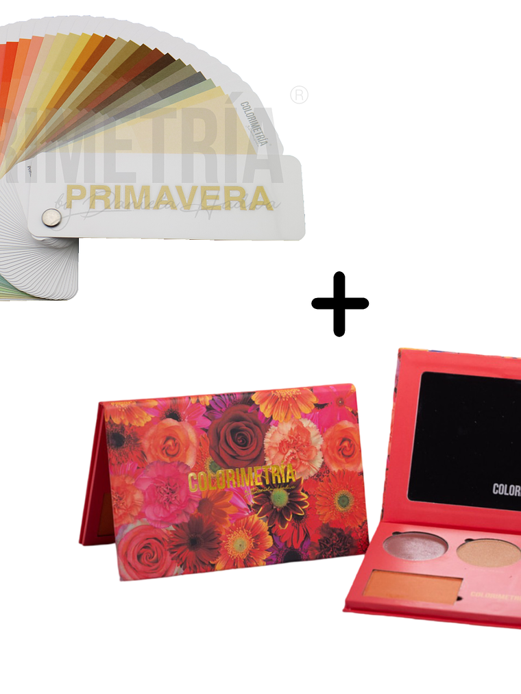 Paleta de Colores + Paleta de Maquillaje LP 3