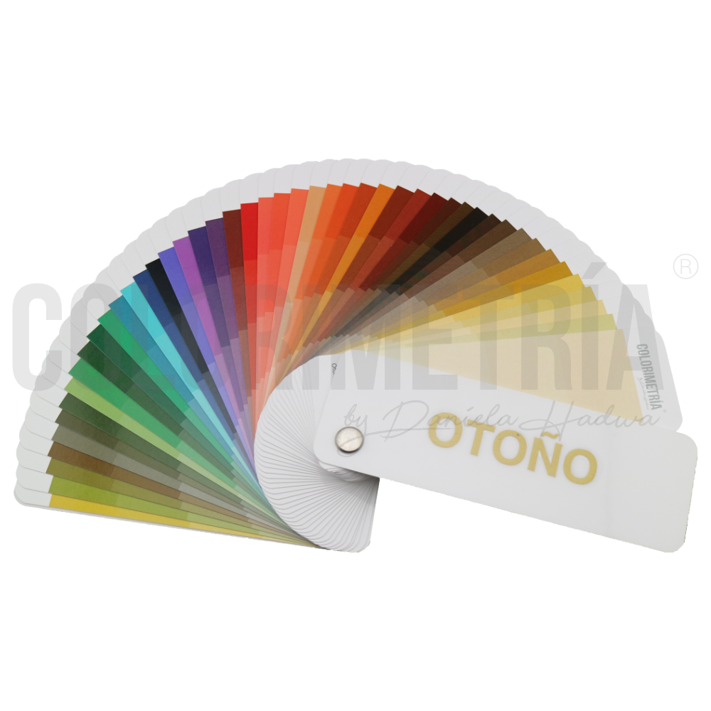 Paleta de Colores LP